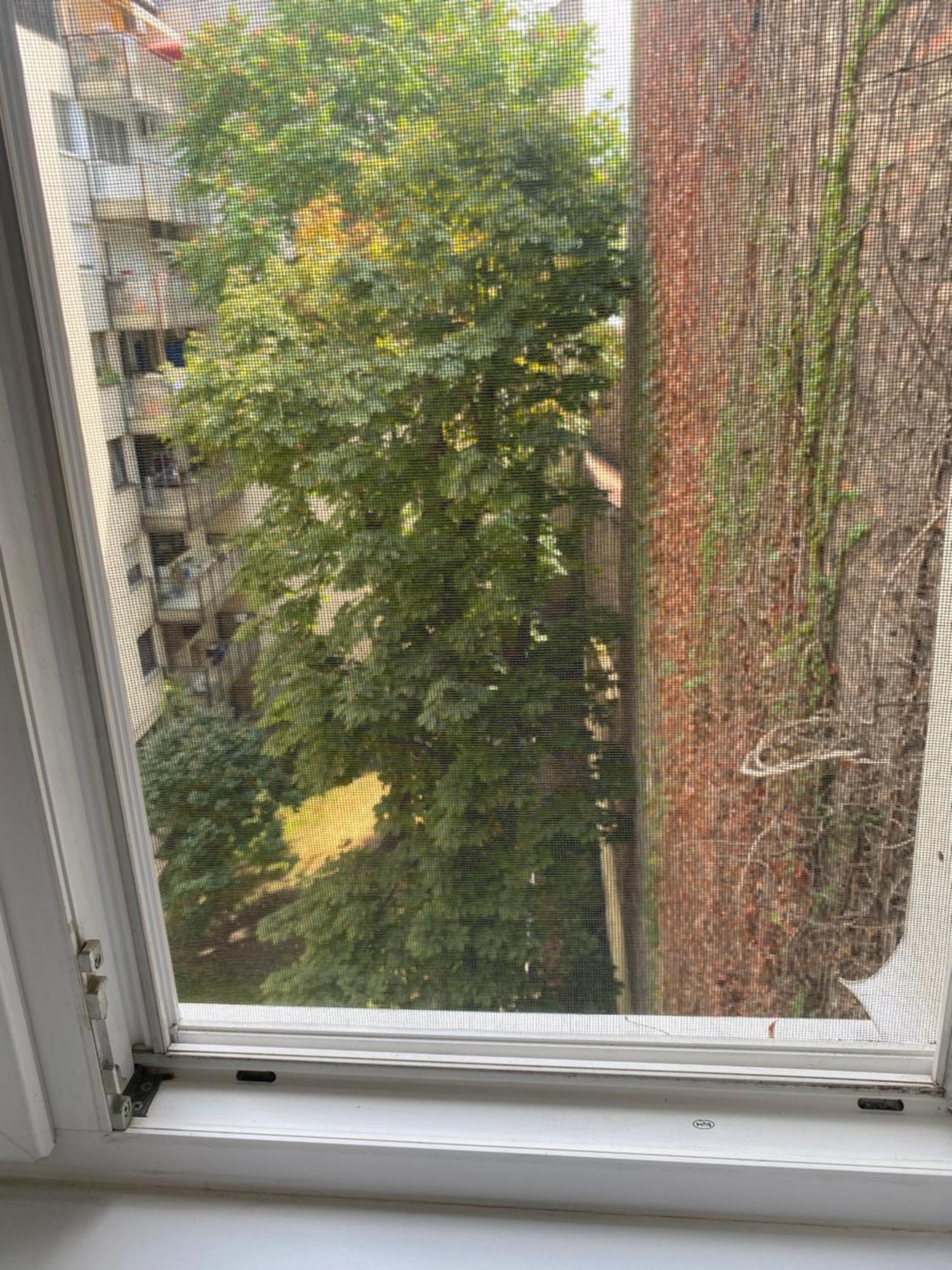 Budapest Oasis One Bedroom For Renting Екстер'єр фото
